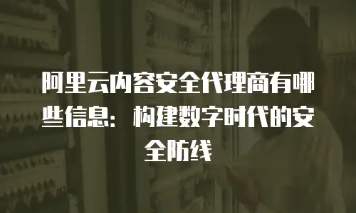 阿里云内容安全代理商有哪些信息：构建数字时代的安全防线