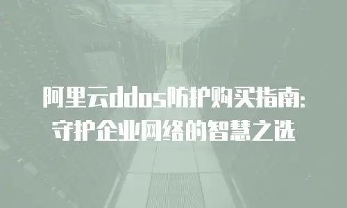 阿里云ddos防护购买指南：守护企业网络的智慧之选
