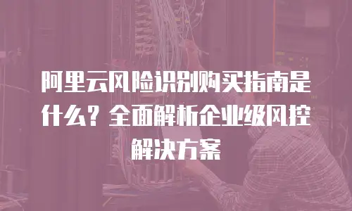 阿里云风险识别购买指南是什么？全面解析企业级风控解决方案