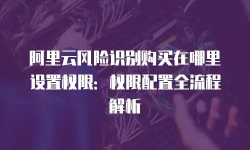 阿里云风险识别购买在哪里设置权限：权限配置全流程解析