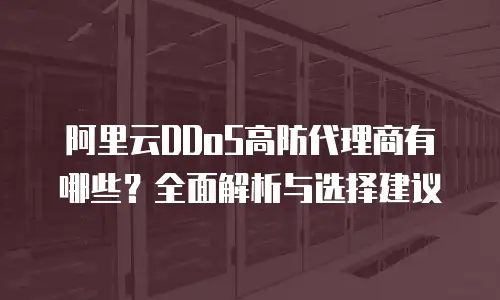 阿里云DDoS高防代理商有哪些？全面解析与选择建议