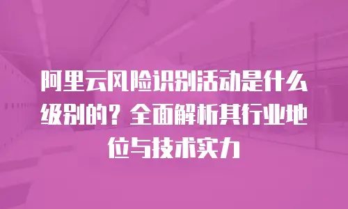 阿里云风险识别活动是什么级别的？全面解析其行业地位与技术实力