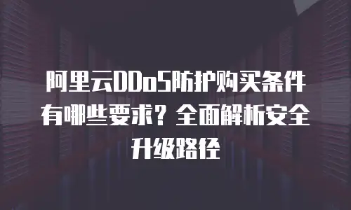阿里云DDoS防护购买条件有哪些要求？全面解析安全升级路径