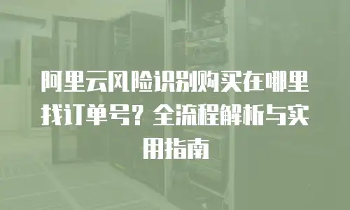 阿里云风险识别购买在哪里找订单号？全流程解析与实用指南