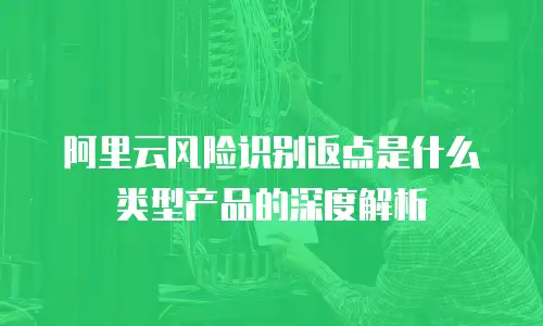 阿里云风险识别返点是什么类型产品的深度解析