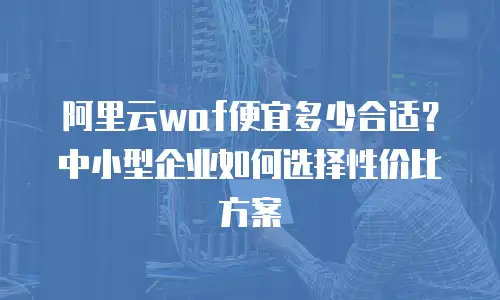 阿里云waf便宜多少合适？中小型企业如何选择性价比方案