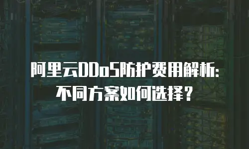 阿里云DDoS防护费用解析：不同方案如何选择？