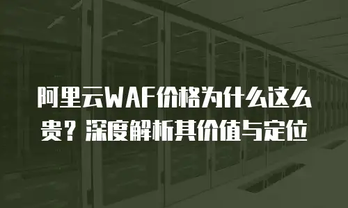 阿里云WAF价格为什么这么贵？深度解析其价值与定位