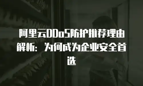 阿里云DDoS防护推荐理由解析：为何成为企业安全首选