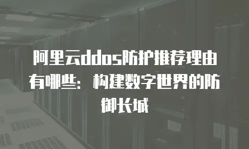 阿里云ddos防护推荐理由有哪些：构建数字世界的防御长城