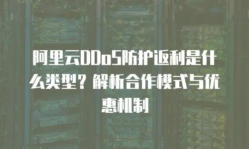 阿里云DDoS防护返利是什么类型？解析合作模式与优惠机制