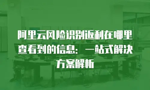阿里云风险识别返利在哪里查看到的信息：一站式解决方案解析