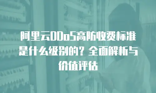 阿里云DDoS高防收费标准是什么级别的？全面解析与价值评估