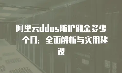阿里云ddos防护佣金多少一个月：全面解析与实用建议