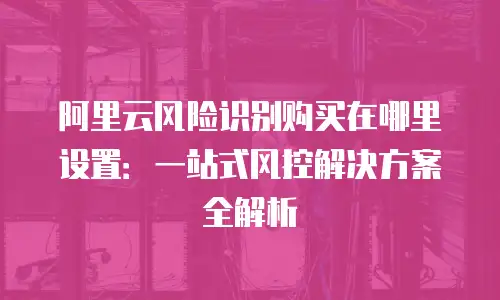 阿里云风险识别购买在哪里设置：一站式风控解决方案全解析