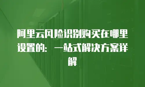 阿里云风险识别购买在哪里设置的：一站式解决方案详解
