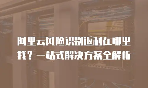 阿里云风险识别返利在哪里找？一站式解决方案全解析