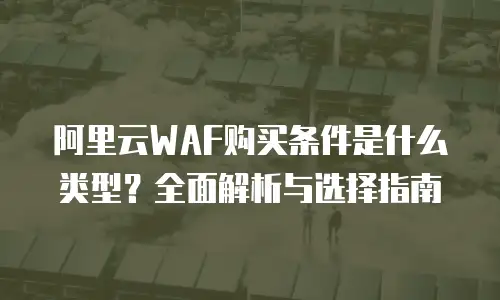 阿里云WAF购买条件是什么类型？全面解析与选择指南