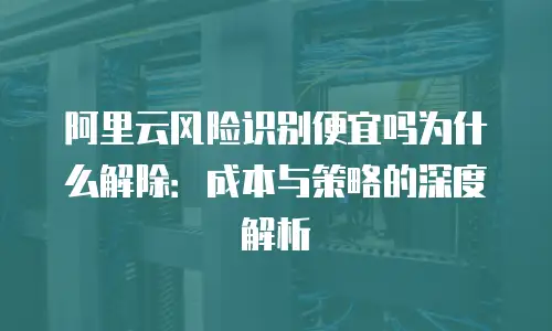阿里云风险识别便宜吗为什么解除：成本与策略的深度解析