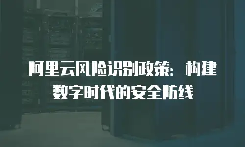 阿里云风险识别政策：构建数字时代的安全防线