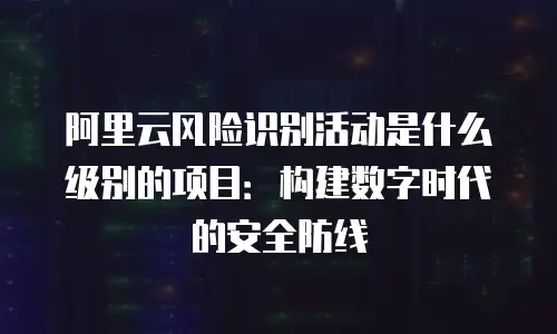 阿里云风险识别活动是什么级别的项目：构建数字时代的安全防线