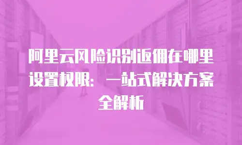阿里云风险识别返佣在哪里设置权限：一站式解决方案全解析