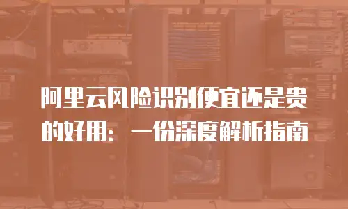 阿里云风险识别便宜还是贵的好用：一份深度解析指南