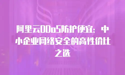 阿里云DDoS防护便宜：中小企业网络安全的高性价比之选
