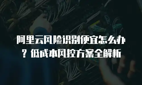 阿里云风险识别便宜怎么办？低成本风控方案全解析