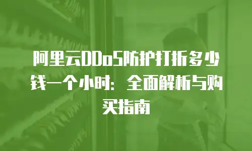 阿里云DDoS防护打折多少钱一个小时：全面解析与购买指南