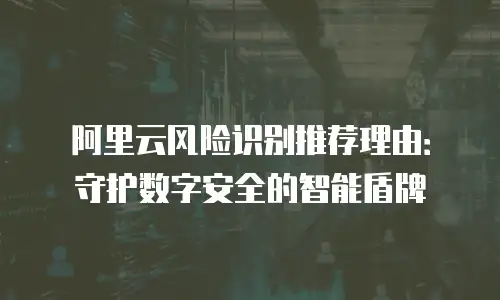 阿里云风险识别推荐理由：守护数字安全的智能盾牌