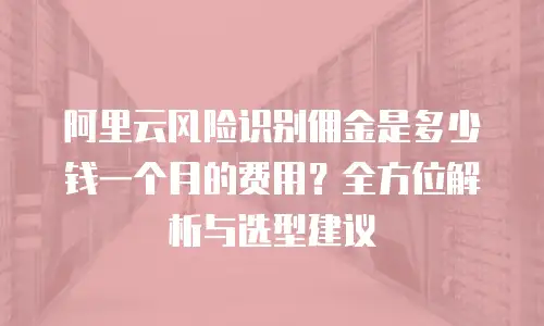 阿里云风险识别佣金是多少钱一个月的费用？全方位解析与选型建议