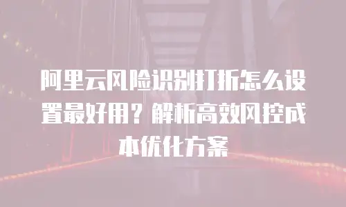 阿里云风险识别打折怎么设置最好用？解析高效风控成本优化方案
