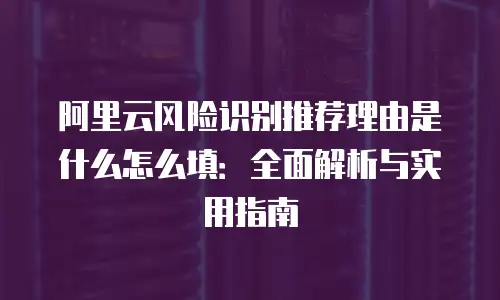 阿里云风险识别推荐理由是什么怎么填：全面解析与实用指南