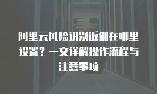 阿里云风险识别返佣在哪里设置？一文详解操作流程与注意事项
