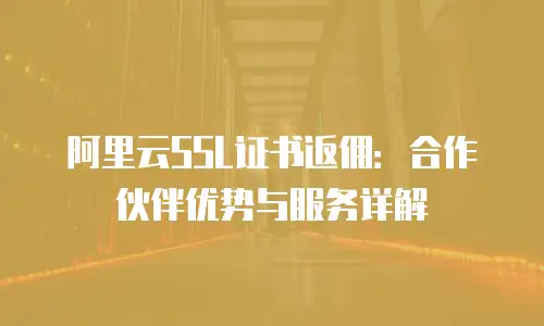 阿里云SSL证书返佣：合作伙伴优势与服务详解