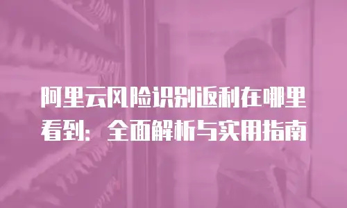 阿里云风险识别返利在哪里看到：全面解析与实用指南