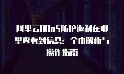 阿里云DDoS防护返利在哪里查看到信息：全面解析与操作指南