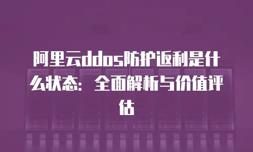 阿里云ddos防护返利是什么状态：全面解析与价值评估