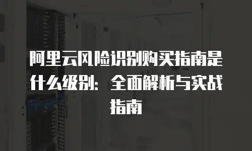 阿里云风险识别购买指南是什么级别：全面解析与实战指南
