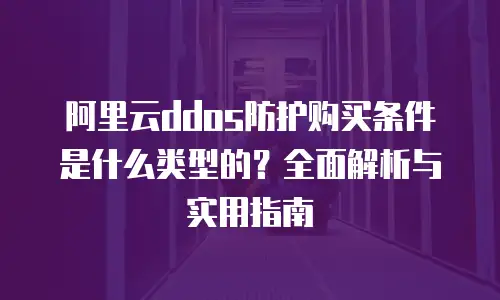 阿里云ddos防护购买条件是什么类型的？全面解析与实用指南