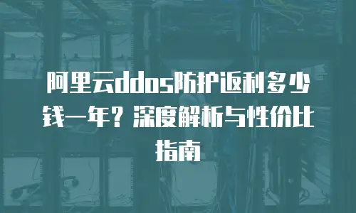 阿里云ddos防护返利多少钱一年？深度解析与性价比指南