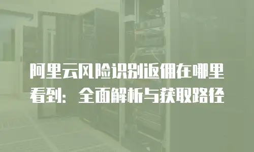阿里云风险识别返佣在哪里看到：全面解析与获取路径