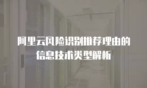 阿里云风险识别推荐理由的信息技术类型解析