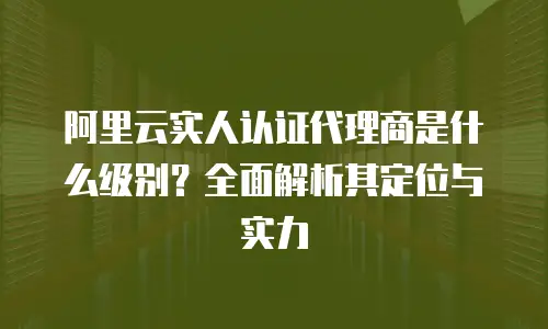 阿里云实人认证代理商是什么级别？全面解析其定位与实力