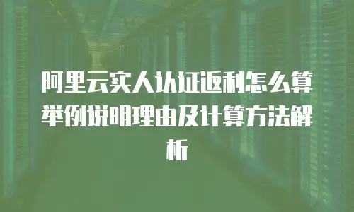 阿里云实人认证返利怎么算举例说明理由及计算方法解析