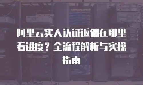 阿里云实人认证返佣在哪里看进度？全流程解析与实操指南