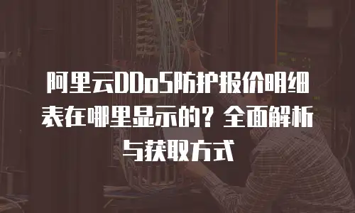 阿里云DDoS防护报价明细表在哪里显示的？全面解析与获取方式