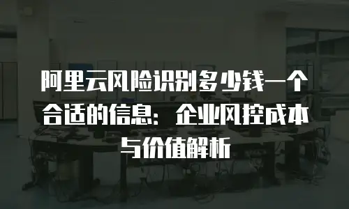 阿里云风险识别多少钱一个合适的信息：企业风控成本与价值解析