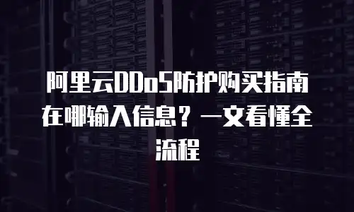 阿里云DDoS防护购买指南在哪输入信息？一文看懂全流程